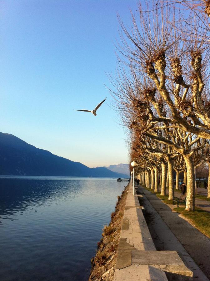 Chabot De Saint Maurice Meuble De Tourisme 3*** Apartment Chambery Luaran gambar